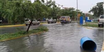 Varias zonas de Playa del Carmen lucen encharcadas a causa de las lluvias de las últimas horas