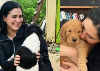 Estefanía Mercado pide tener un plan preventivo que proteja a las mascotas en contingencias ambientales