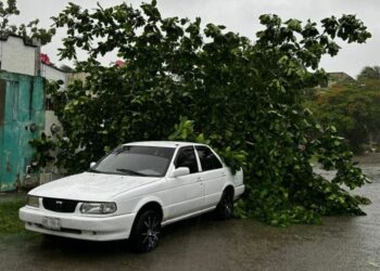 Galería de imágenes de Playa del Carmen después del paso del huracán Beryl