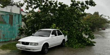 Galería de imágenes de Playa del Carmen después del paso del huracán Beryl