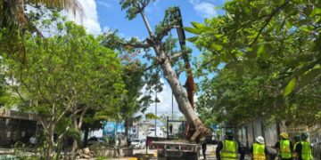 Gobierno de Solidaridad y sector privado juntos en beneficio del medio ambiente