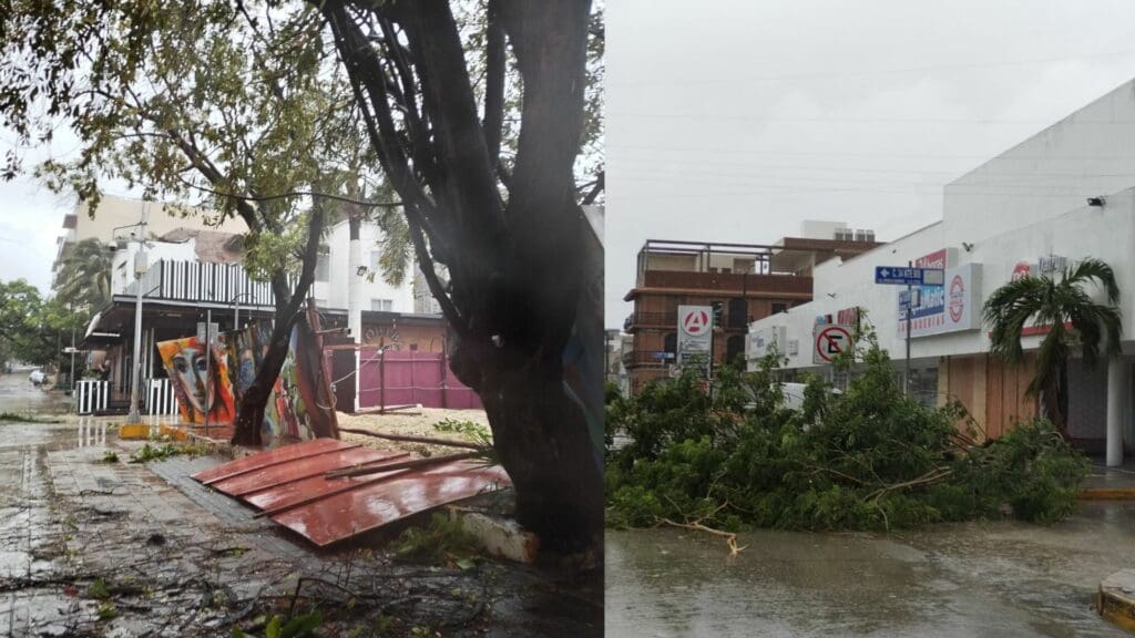 Semáforos afectados, árboles caídos y algunas zonas sin luz en Playa del Carmen tras el paso de "Beryl"