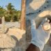 Se resguardaron 70 nidos de tortugas tras el paso de "Beryl" en Playa del Carmen