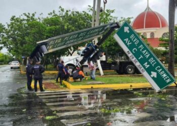 Semáforos afectados, árboles caídos y algunas zonas sin luz en Playa del Carmen tras el paso de "Beryl"