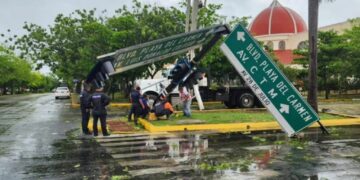 Semáforos afectados, árboles caídos y algunas zonas sin luz en Playa del Carmen tras el paso de "Beryl"