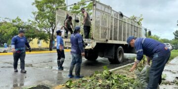 Solidaridad registra saldo blanco tras el paso de Beryl