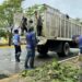 Solidaridad registra saldo blanco tras el paso de Beryl