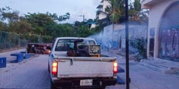 Solidaridad toma medidas de precaución contra el dengue