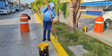 Gobierno de Solidaridad refuerza acciones de limpieza y reforestación