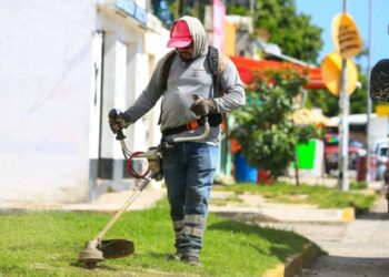 Mega jornada de Servicios Públicos atiende Puerto Aventuras