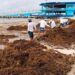 Gobierno de Estefanía Mercado refuerza estrategia contra el sargazo con acciones coordinadas y trabajo permanente en Playa del Carmen