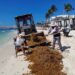 Intenso trabajo de los tres órdenes de gobierno ante arribo excesivo de sargazo a las costas de Playa del Carmen