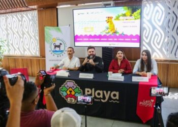Anuncian el “Dog Beach Festival” en Playa del Carmen, evento para fortalecer el turismo Pet Friendly