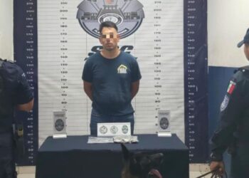 Detienen a presunto narcomenudista en posesión de marihuana en Playa del Carmen