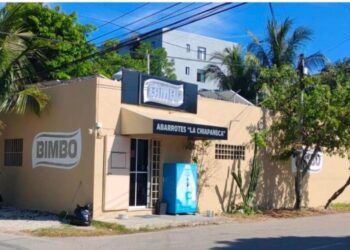 Estefanía Mercado suma a empresarios a la construcción de la identidad de Playa del Carmen con el color Arena Playa