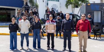 Cero tolerancia al maltrato animal: Estefanía Mercado lanza Brigada de Protección Animal en Playa del Carmen
