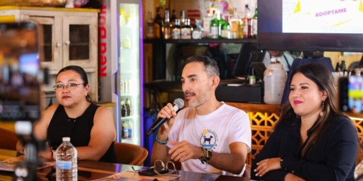 Anuncian en Playa del Carmen la segunda edición del “Dog Festival”