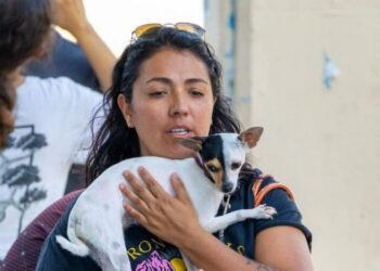 Refuerza Estefanía Mercado el bienestar animal en Playa del Carmen