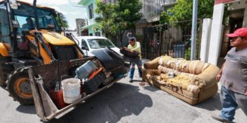 Estefanía Mercado recolecta casi 80 mil toneladas de residuos en Playa del Carmen