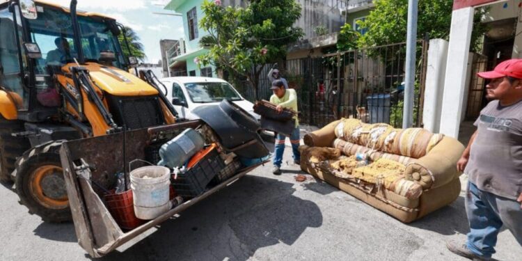 Estefanía Mercado recolecta casi 80 mil toneladas de residuos en Playa del Carmen