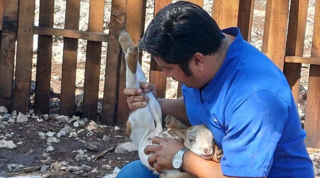Gobierno de Estefanía Mercado lleva el programa “Veterinario en tu Rancho” a comunidades rurales