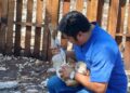 Gobierno de Estefanía Mercado lleva el programa “Veterinario en tu Rancho” a comunidades rurales