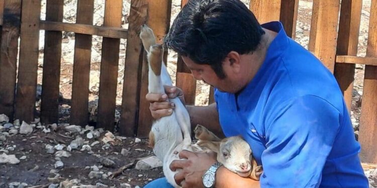 Gobierno de Estefanía Mercado lleva el programa “Veterinario en tu Rancho” a comunidades rurales