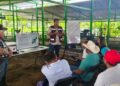 Gobierno de Playa del Carmen promueve el uso del sargazo para fortalecer la producción ganadera