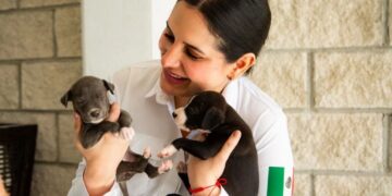 PETA Latino reconoce al gobierno de Estefanía Mercado por liderazgo en bienestar animal y clausura de Animalandia Maya